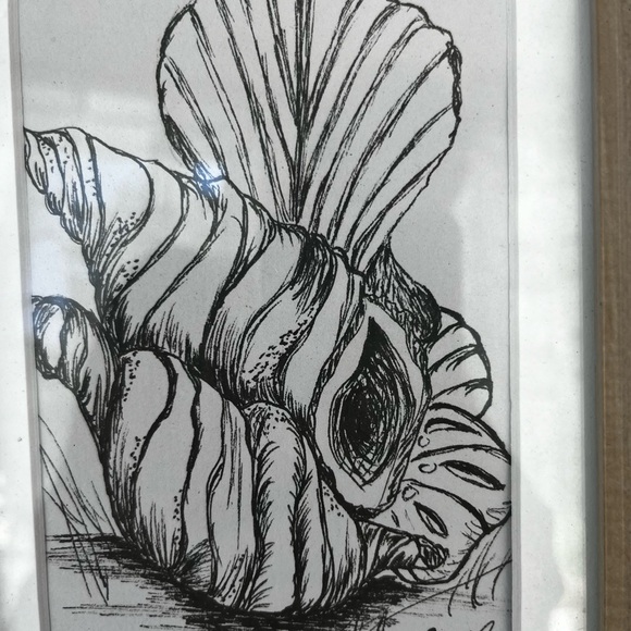 Hand made: Shells, hand drawn with mat 4.5 x 6” in a 10 x 9” wood glass frame. - Picture 3 of 6